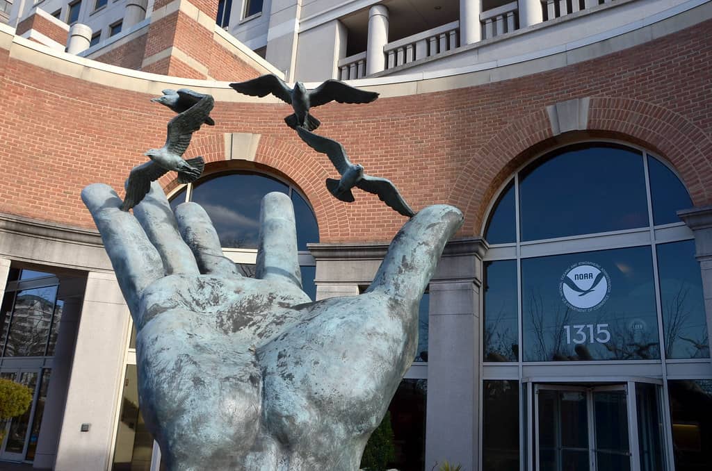 hand of noaa sculpture silver spring